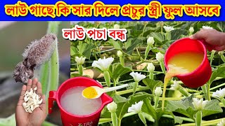 What fertilizer will gourd plant produce many female flowers, gourd will stop rotting,