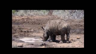 A Short Documentary on Droughts