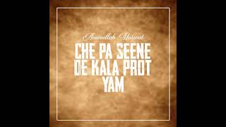 Che Pa Seene De Kala Prot Yam