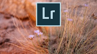 Learn to make the BEST Lightroom presets!