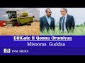 Qonnaa Oromiyaa Bilgates/ Misomaa Abdii Guddaa qabu