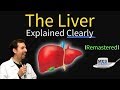 Liver Explained! Function, Pathology, Diseases, & Cirrhosis