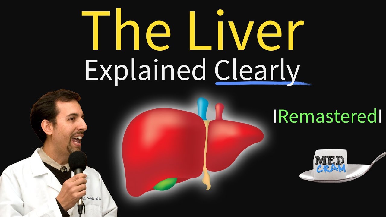 Liver Explained Function Pathology Diseases Cirrhosis Youtube