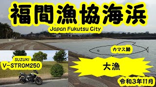 【TouringBlog77】★福間漁協海浜公園★SUZUKI (V-STROM250)★令和３年11月