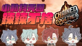 【連動遊戲】小動物天團鍊鍊不捨！ 🌙鯨諾whalefall🐋 | #whalefall #鯨諾