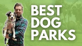 Top 5 Dog Parks in Miami | Moving to Miami 2023