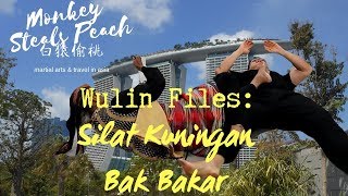 Javanese Groundfighting System Silat Kuningan - Martial Arts of Singapore ep6