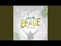 I Declare Peace