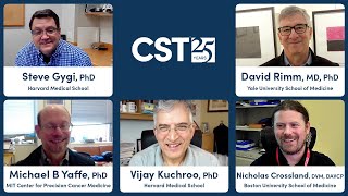 The CST Difference - In Their Words