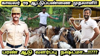 ஆடு வளர்ப்பில் நஷ்டத்திற்கு காரணம் இதுதான்!! | kodi Aadu valarpu murai in tamil | goat farming tamil