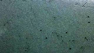 movement of dislocations in a bubble raft