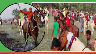 Gokulnagar horse race live 2024 ,, ঘোড়া দৌড় লাইভ। Referee s jamadar