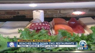 Roaches Shut Down Two Restaurants