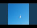 the art of soaring