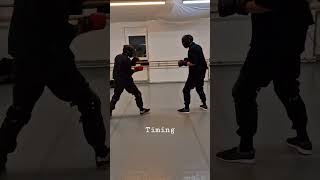 Timing - Bruce Lee's Martial Art Jeet Kune Do