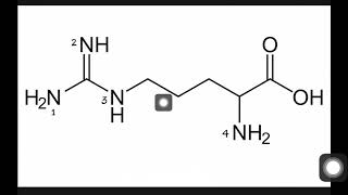 HOW TO FIND MOST BASIC N ATOM IN ARGININE