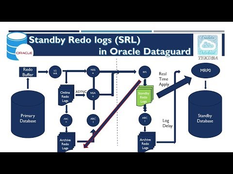 Oracle Dataguard (DG) with Role of Standby Redo Logs (SRL) in Data Guard