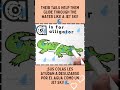 🐊 How to Color an Alligator: Fun & Educational Facts! Cómo Colorear un Caimán #art #coloring #kids