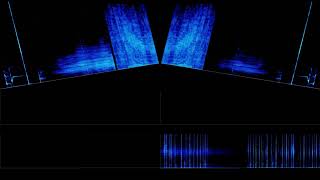 Attention Test (spectrogram)