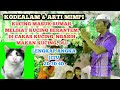 arti mimpi kucing⁉️ dan kodealam kucing 2D 3D 4D