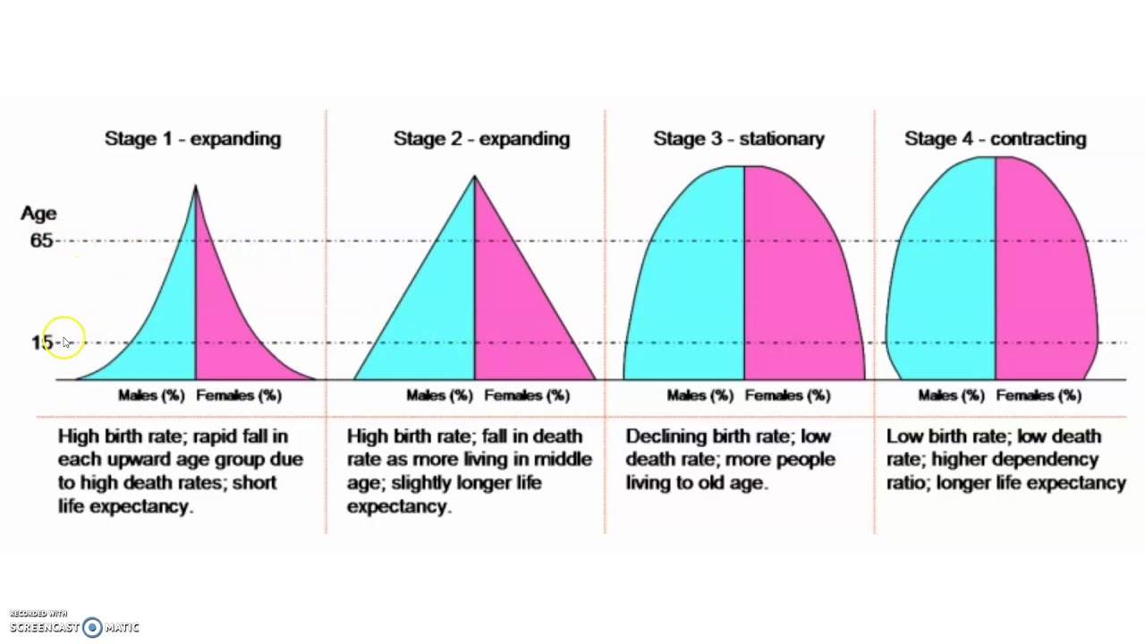 Types Of Age Structure