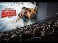 Superpower Dogs 3D at Fernbank