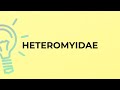 What is the meaning of the word HETEROMYIDAE?