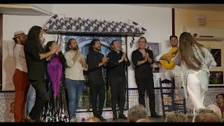 Fin de Fiesta. La Repompilla. Peña Flamenca Torres Macarena