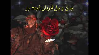 jan o dil qurban tujh par, Ustad nusrat Fateh Ali Khan sahib ❤️#qwali #qwalistatus #nusrat