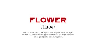 Cartier ABC of Creativity: F is for Flower