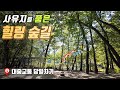 마음의 여유가 필요할 때 걷는 힐링 숲길 | 대중교통 당일치기 | 트레킹 코스