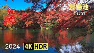 2024 軽井沢雲場池の美しい紅葉(4K-HDR) Beautiful Autumn Foliage At Kumoba Pond In Karuizawa (UHD-HDR)