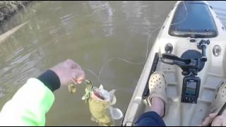 Bassman Spinnerbaits