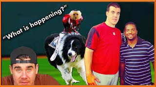 Minor league baseball stories you wont BELIEVE