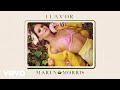 Maren Morris - Flavor (Audio)