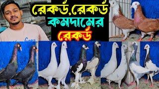 ইতিহাসের রেকর্ড পরিমান কমদামে রেসার,বুদাপেস্ট,দামাসিন কবুতর কিনুন | বাকবাকুম পায়রা | Pigeon |