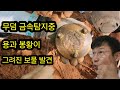 금속탐지기로 이장된 무덤(파묘) 옆 용과 봉황이 새겨진 유물  발견/보물찾기 탐험 탐사 여가생활 야외생활 엽전 조선 Metal Detection in Korea