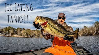 These JIG BITES Were INSANE!!