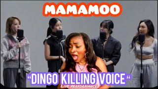 RANDOM AFRICAN WOWED BY MAMAMOO’s VOCALS IN “DINGO KILLING VOICE” live performance