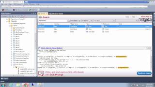 Search SQL Schema