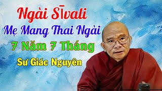 Ngài Sīvali. Mẹ Mang Thai Ngài 7 Năm 7 Tháng | Sư Giác Nguyên | Sư Toại Khanh