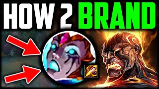 BRAND JUNGLE HAS NEVER BEEN BETTER... How to Brand Jungle & CARRY - Season 14 Brand Guide