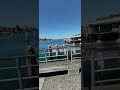 A day  of fishing at Manly bay(Sydney Australia)