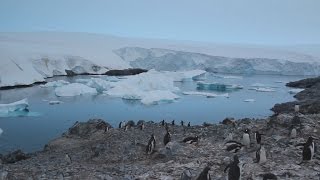 Pirámides, ovnis y bases secretas: desmontando los mitos sobre la Antártida