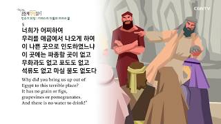 [하루 20분 공동체성경읽기] 2/19 민수기 19장 - 21장