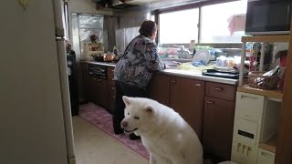 Playtube Pk Ultimate Video Sharing Website