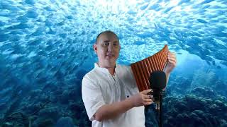 Teach yourself Pan Flute. Answering the question HOW TO?