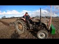 1953 Ferguson TEF20 2.1 LItre 4-Cyl Diesel Tractor (28HP) With Ransomes Plough