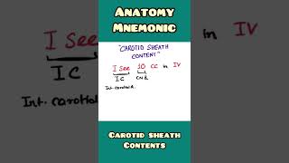 Carotid Sheath - mnemonic | Anatomy | #shorts