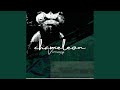 Chameleon (Extended Version)